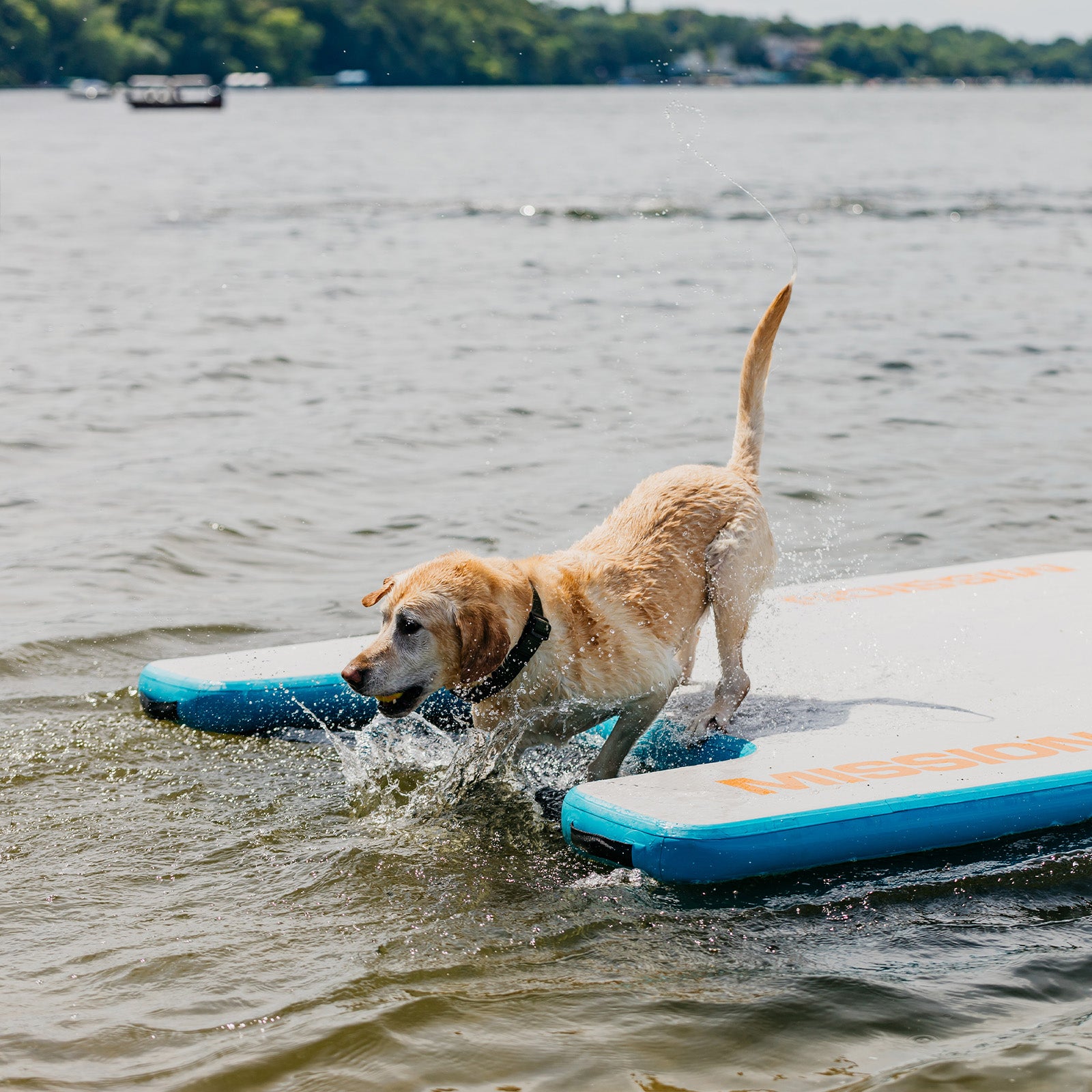 REEF LITE | Inflatable Water Mat