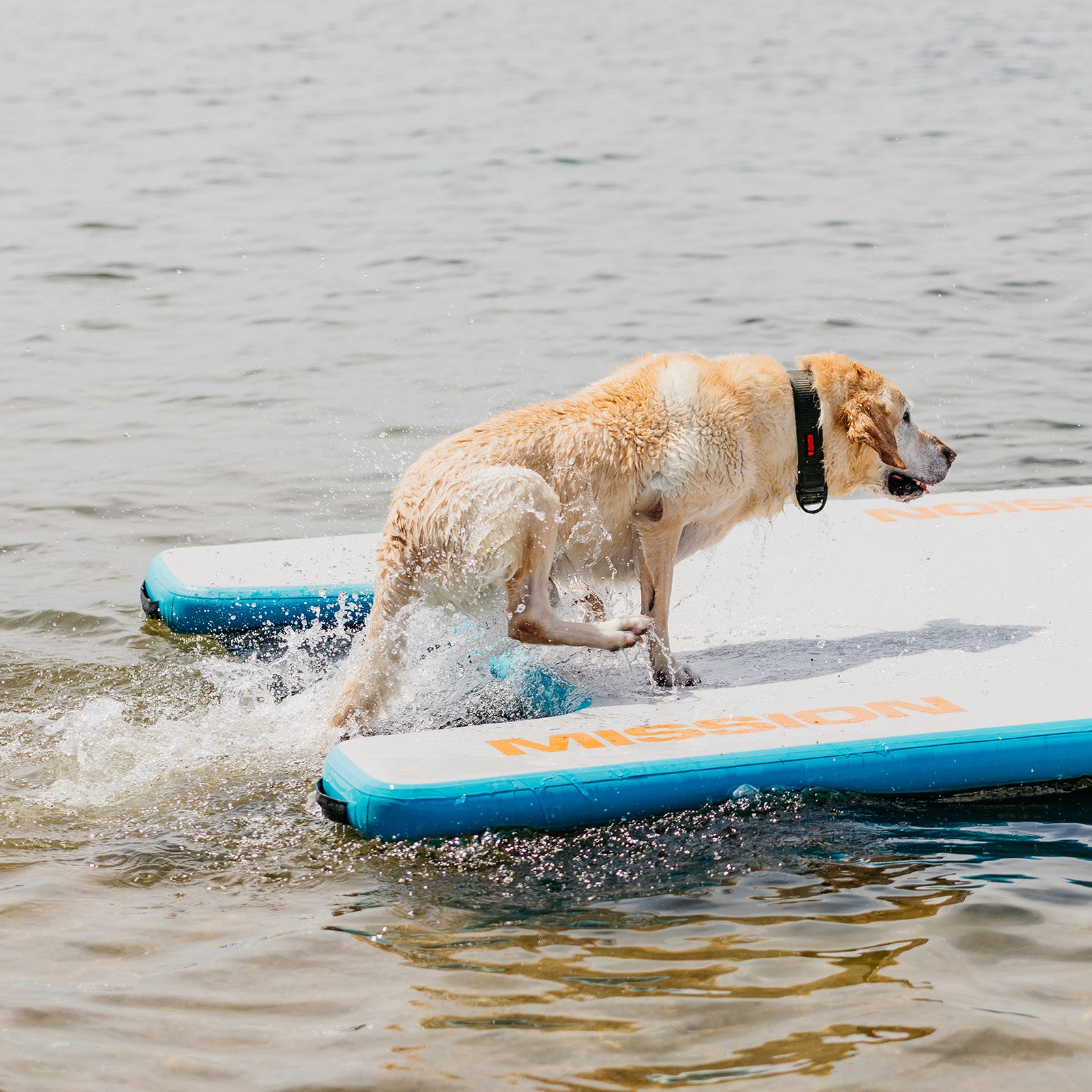 REEF LITE | Inflatable Water Mat